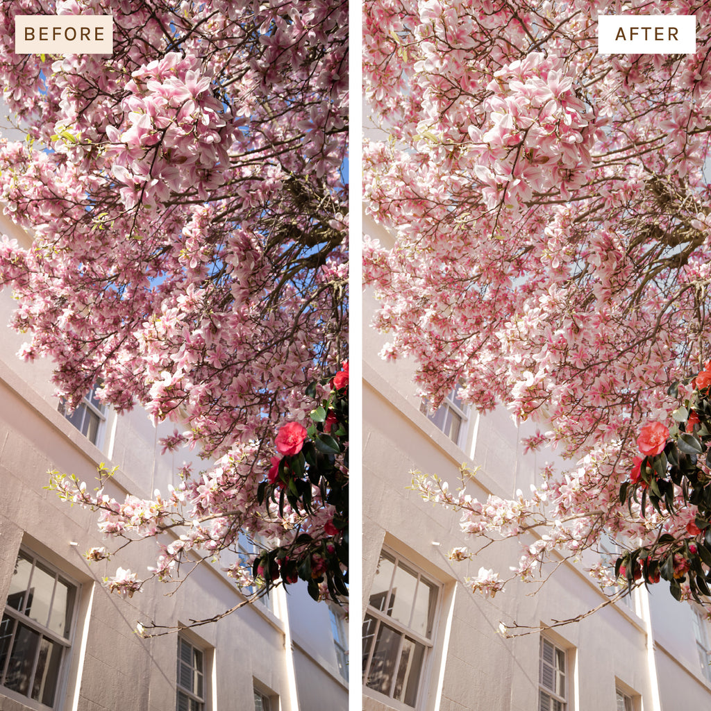 Spring Preset Pack – Presets by Kelsey