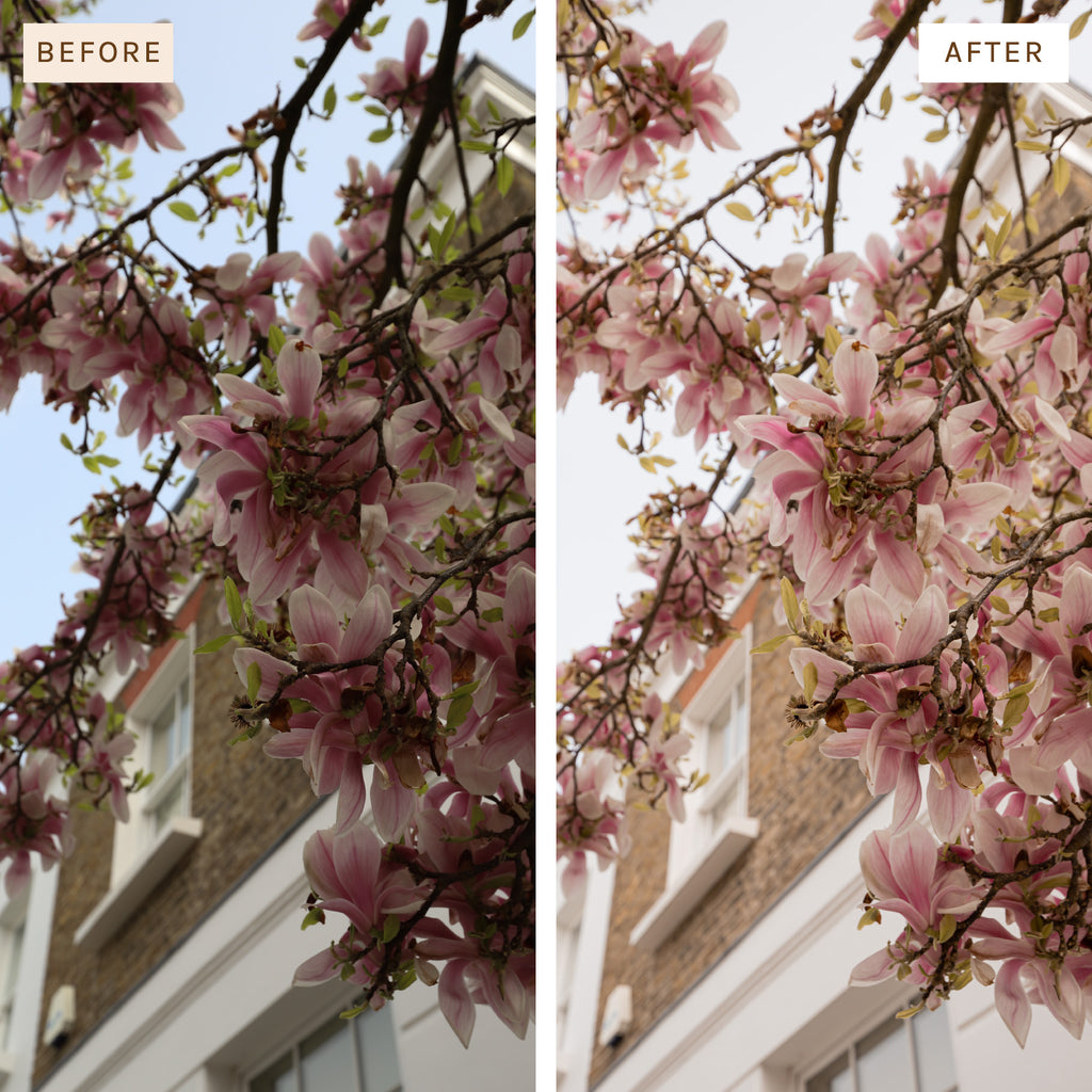 Spring Preset Pack – Presets by Kelsey