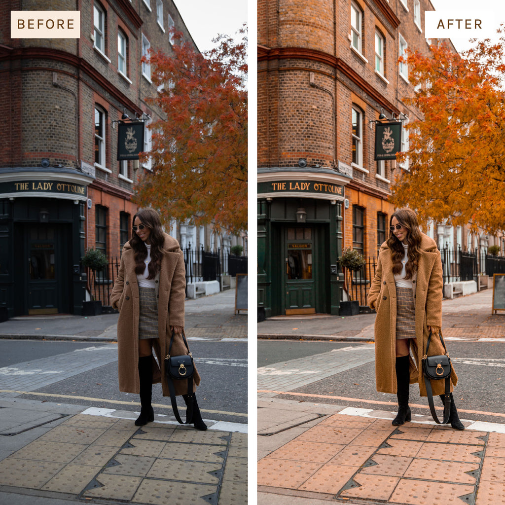 Presets By Kelsey Autumn Preset