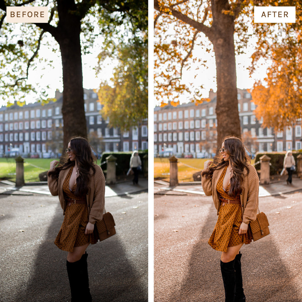 Presets By Kelsey Autumn Preset