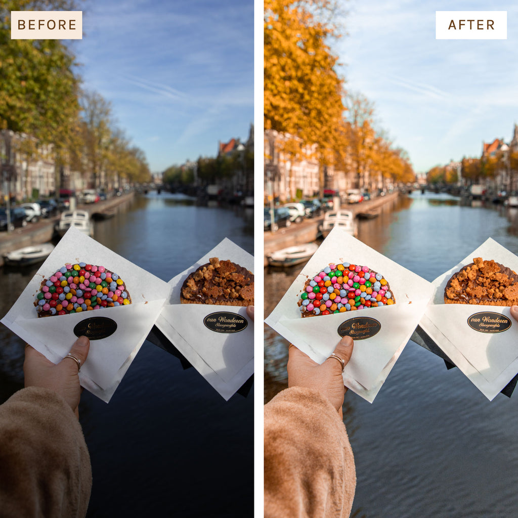 Presets By Kelsey Autumn Preset