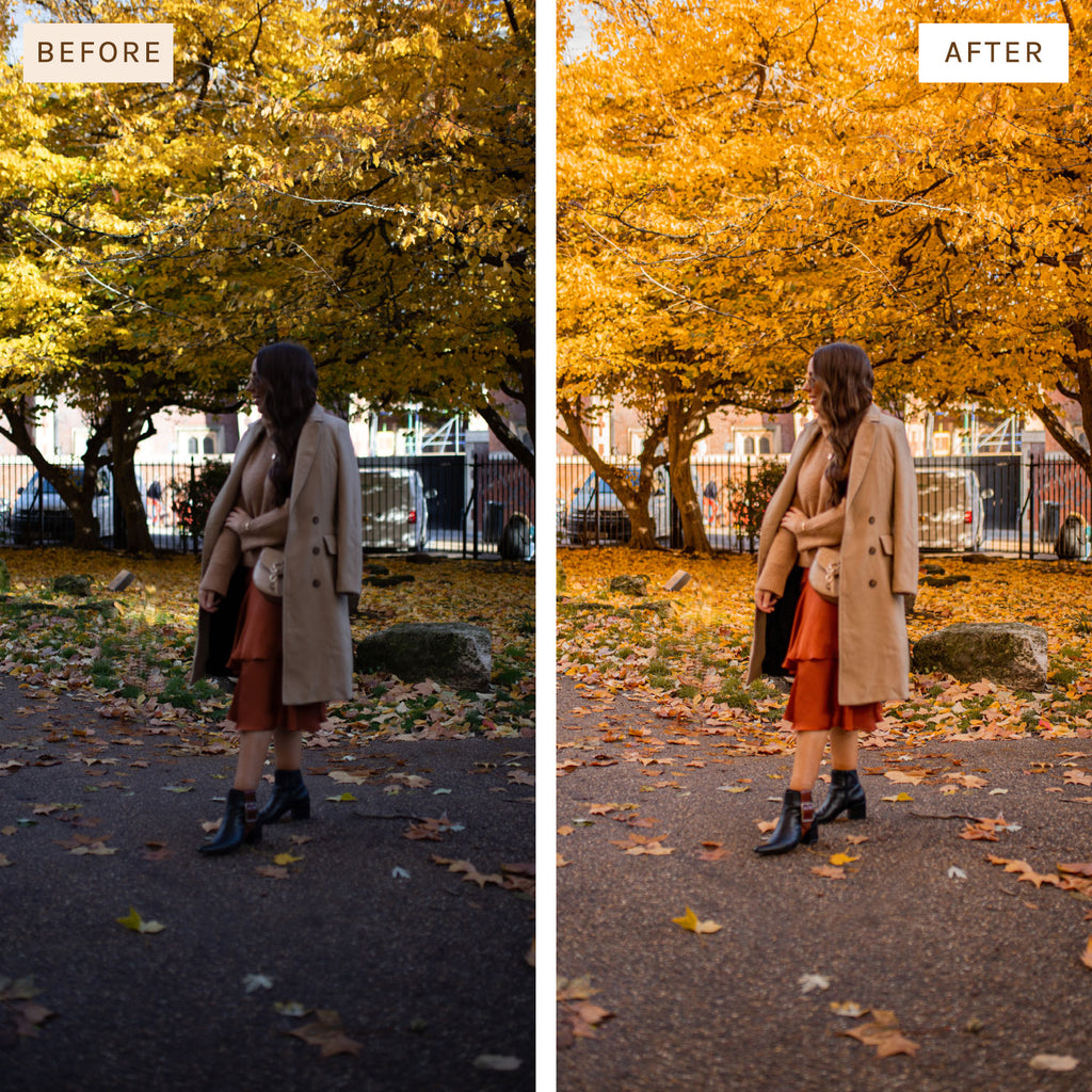 Presets By Kelsey Autumn Preset